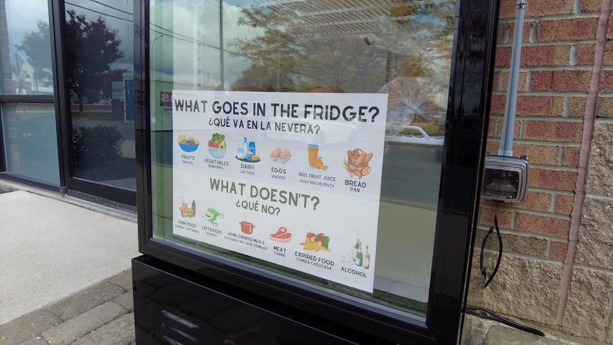 What goes in the Fridge