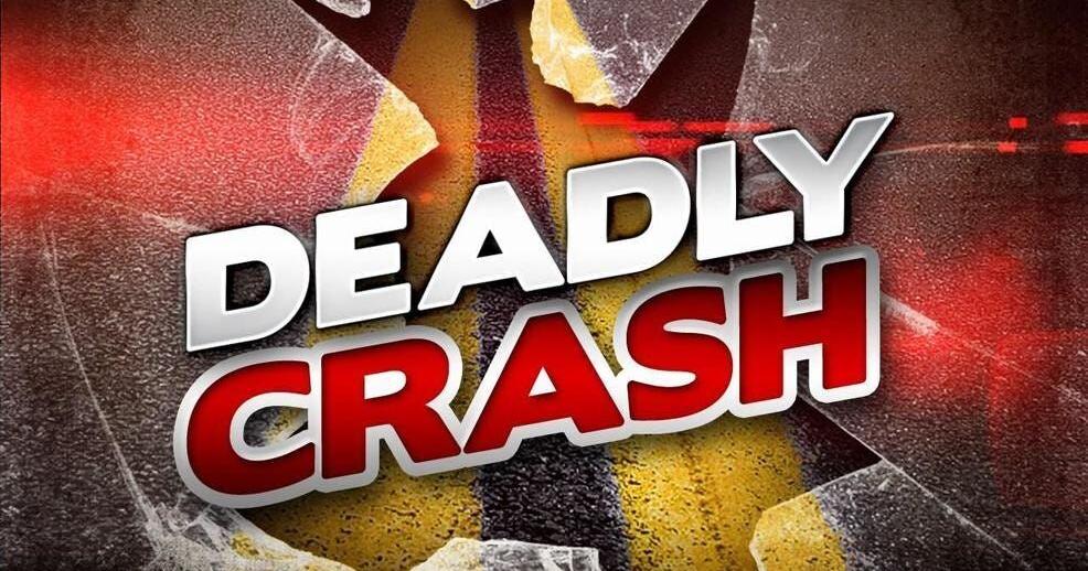 Woman Killed in Felton Collision - Vimarsana News