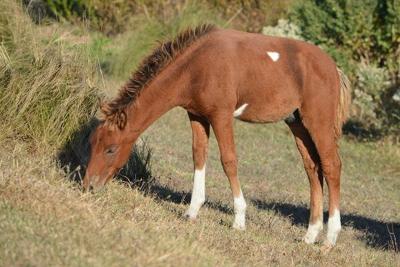 17022113_1332655706773132_6547693302606555841_n