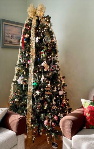 Faye and Mackenzie Moore's tree in Salisbury, Md.