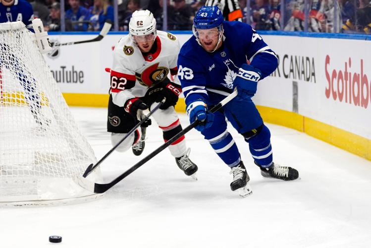 Senators Maple Leafs Hockey