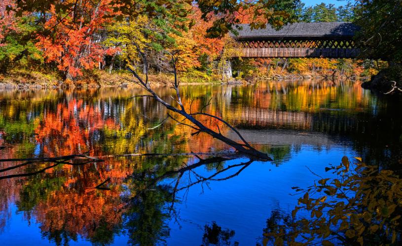 Fall Foliage New Hampshire