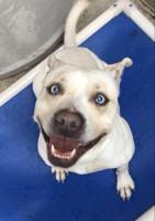 What’s Happening Today – January 8, 2021