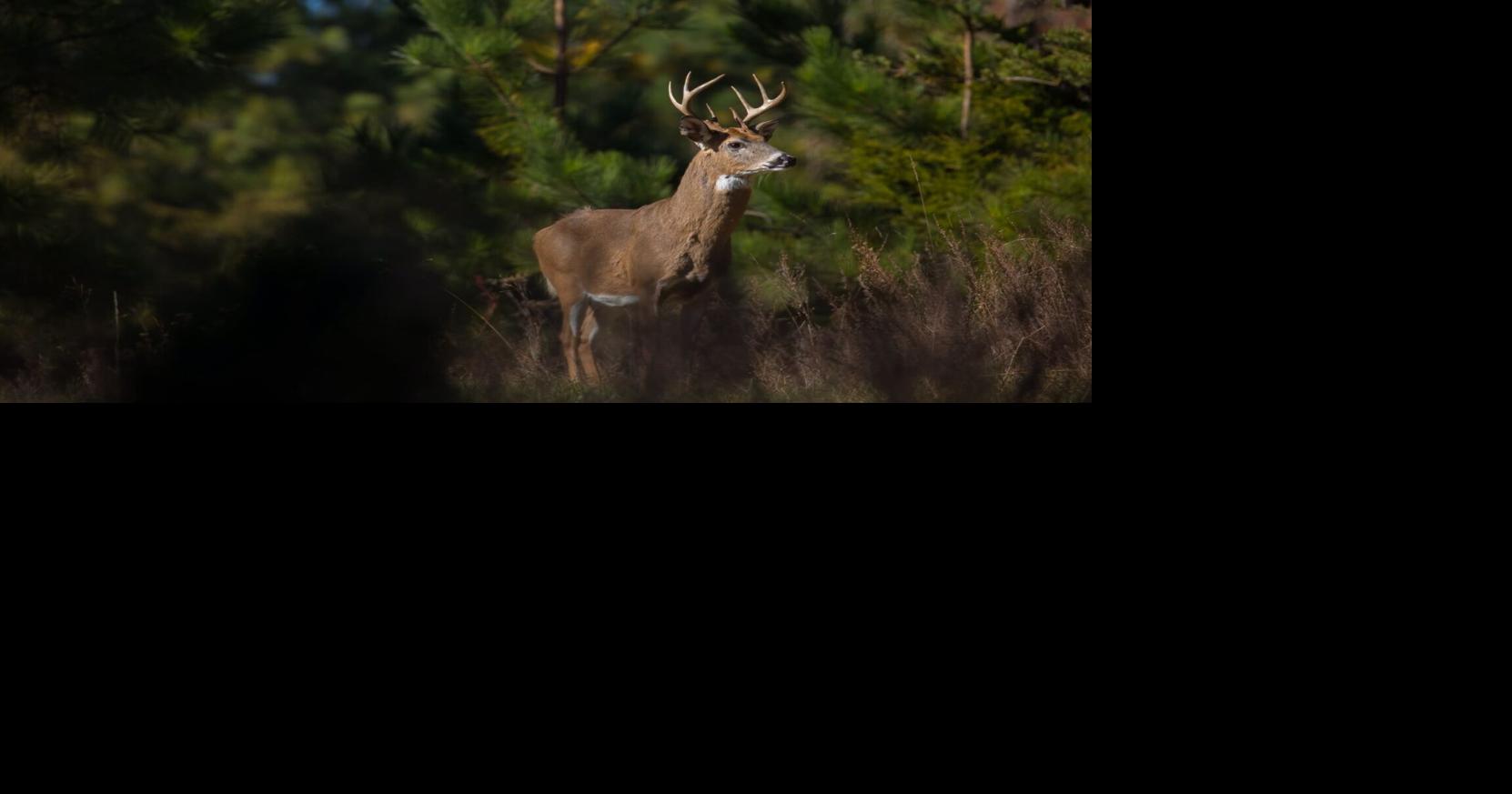 Virginia considers increasing hunting and fishing license fees, new wildlife regulations