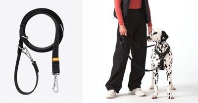 Double Ended Dog Leashes Get a Major Upgrade with Coda’s Ultra Leash