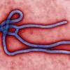 Ashes from Ebola Victim's Apartment in Limbo