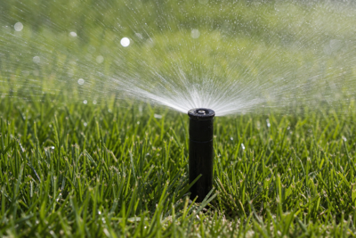 Renegade Landscape Highlights Water-Wise Irrigation Planning During July Heat