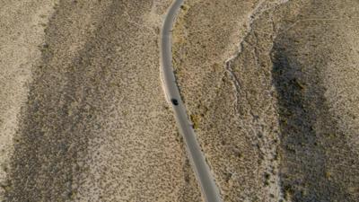 Whisenhunt Media Transforms into AI-First Media House