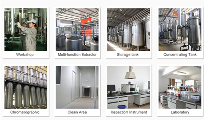 Le-Nutra Delivers High-Quality Bulk NMN Powder Manufacturing Solutions to Meet Growing Industry Demand