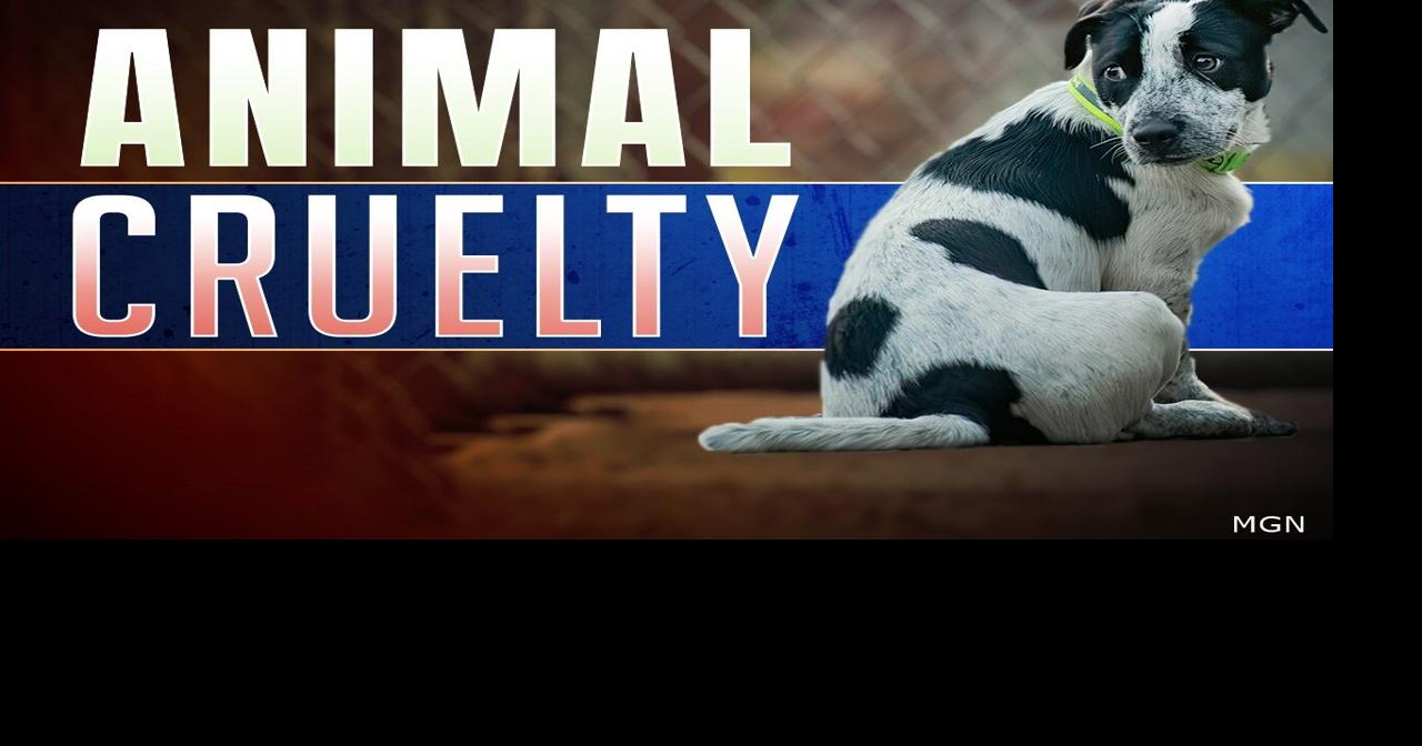 Bridgeville Couple Charged with Animal Cruelty After 20 Dogs Found in ...