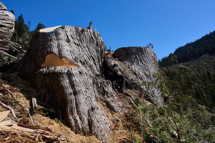 Climate Canada Deforestation