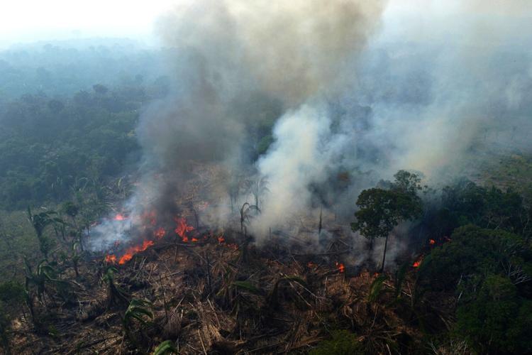 Brazil Amazon Deforestation Wildfires