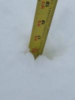 James Creed Denton, Maryland