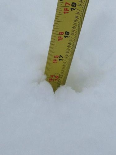 James Creed Denton, Maryland