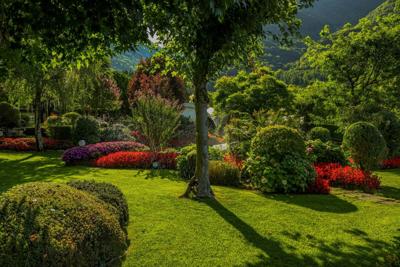Oceanic Landscaping Offers Seasonal Discounts for Oahu Homes