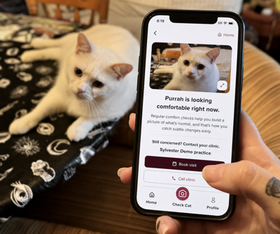 Sylvester.ai Launches Connect to Care to Help Veterinary Practices Grow Feline Visits
