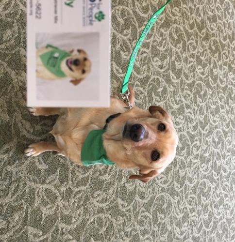 PAWS FOR PEOPLE