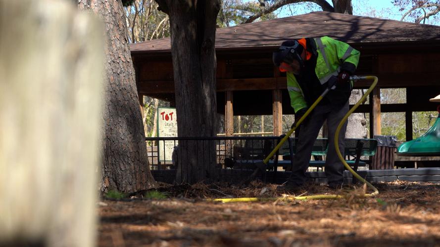 Aeration 1 Grove Park