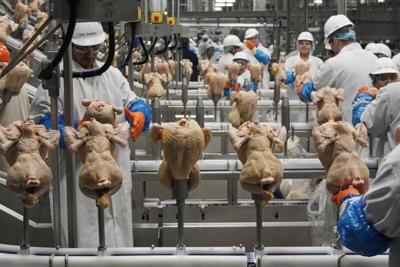Poultry workers