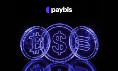 Paybis Releases New Data Showing B2B Payments Now Dominate Stablecoin Volume