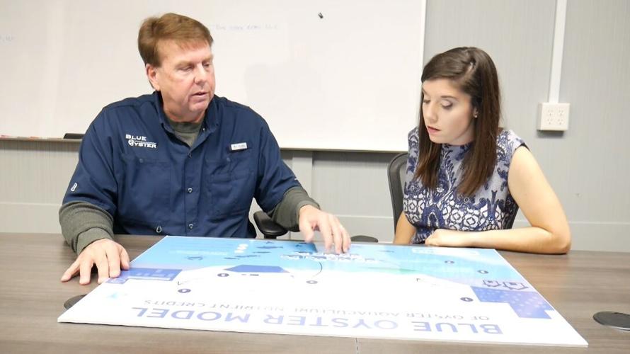 Blue Oyster Environmental