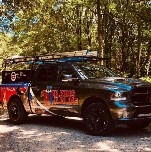 106120542_780780912459409_7925432147229571566_n