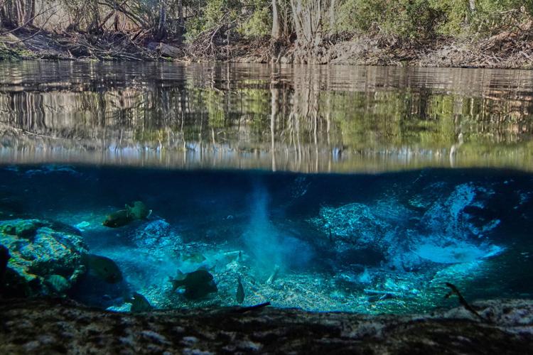 Climate Florida Dam Removal