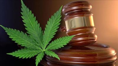 Delaware Court Upholds Conviction of Medical Marijuana Activist