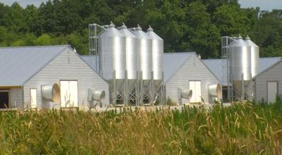 Poultry House Debate Continues In Somerset County