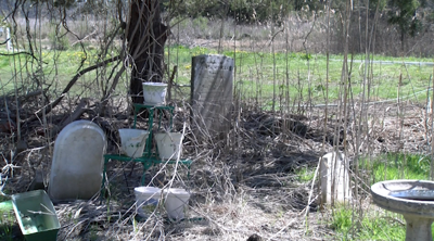 Dorchester County Council provides letter of support for bill addressing abandoned cemeteries