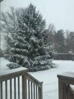 Isabel Barrueta Dover Del