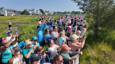 Chincoteague Pony Swim crowd