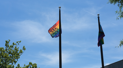 PRIDE MONTH FLAG