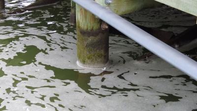 More Discussion On Dealing With Sea Level Rise In Cambridge