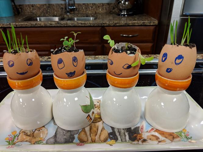 EGGS