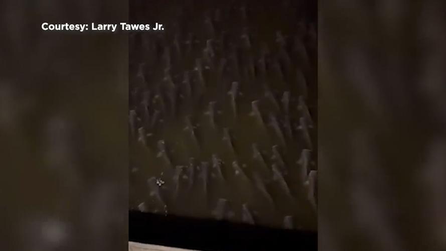 Catfish in Wicomico Co.