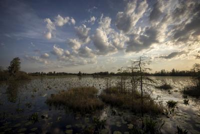 Okefenokee Mining Plan