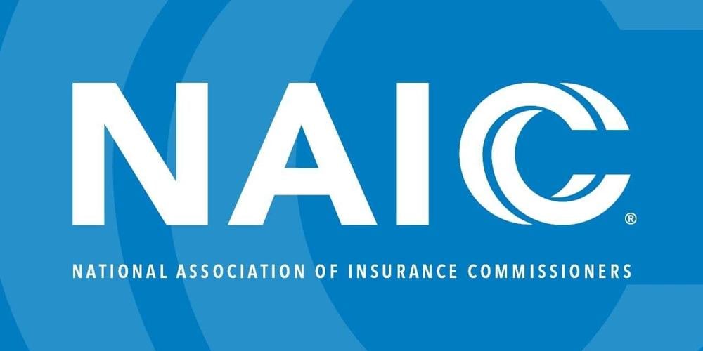 NAIC Officers Elected for 2026