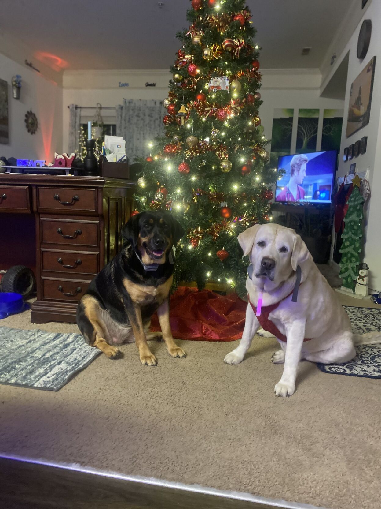 The carter family from Delmar