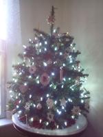 Susan-Parry-Bethel-Delaware