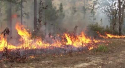 Fighting Fire with Fire   Wednesday  April 15  2015   YouTube