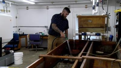 UD Oyster Hatchery