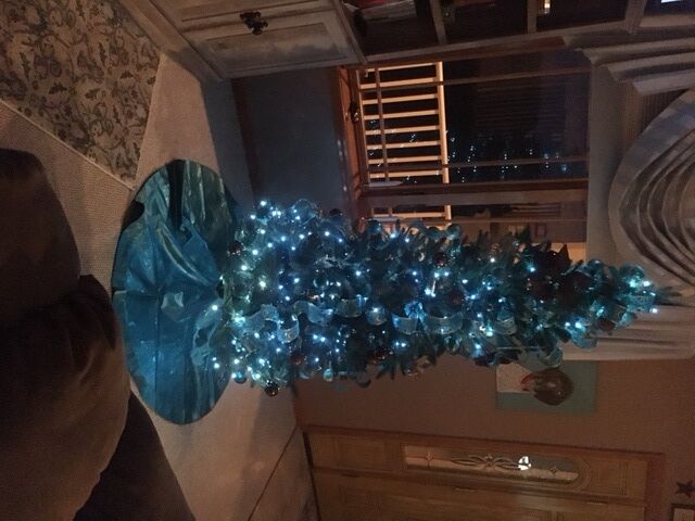 Kenny & Jo Ann Evans blue tree, Georgetown