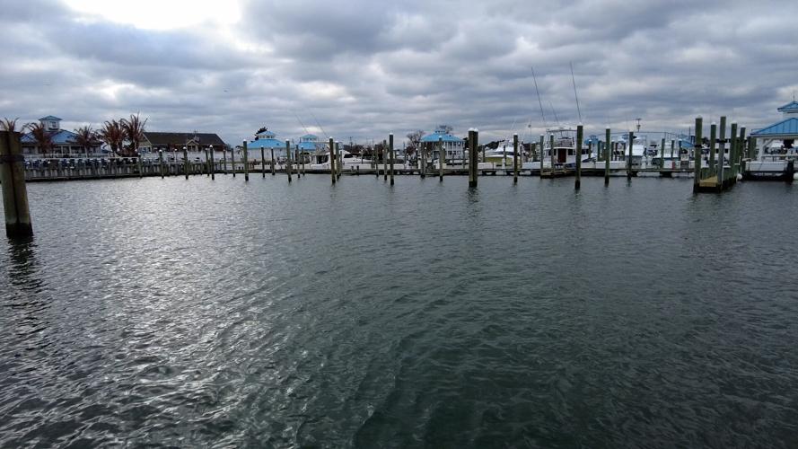 Ocean City Marina