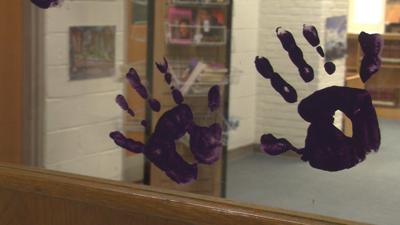 Dorchester County Launches 'Go Purple' Campaign