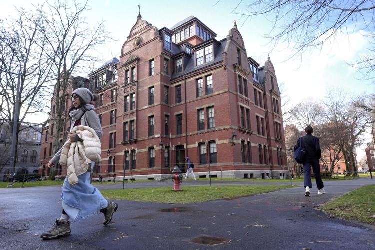 Trump Harvard