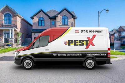 Simcoe Pest X Expands 24/7 Emergency Pest Control Services in Barrie