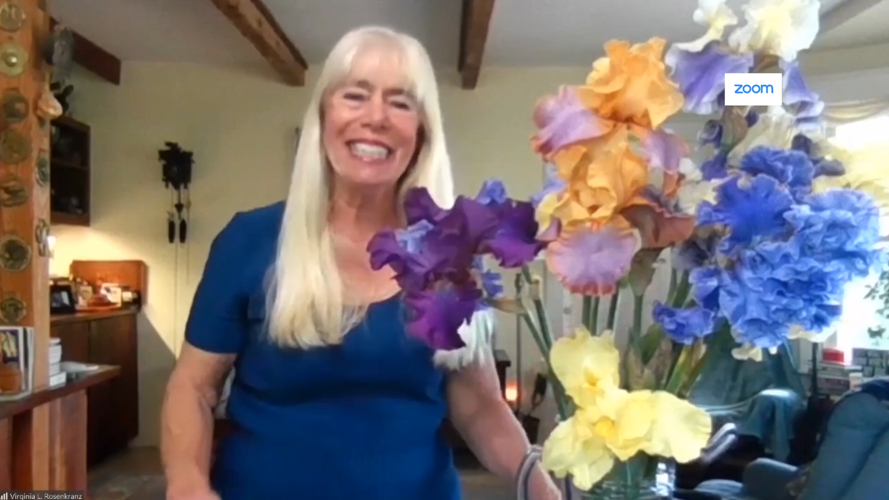 DVL1797C.00_04_43_23.Still001