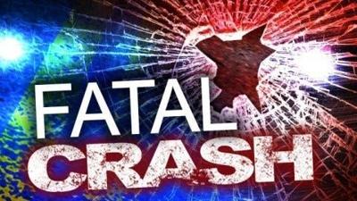 Bicyclist Dies from Injuries Sustained in Ellendale Crash