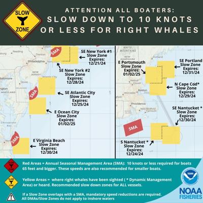 WhaleSlowZoneOC.jpg
